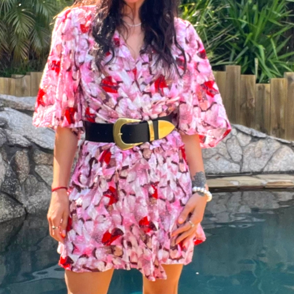 NWTs IRO dress semi-sheer flocked mini dress US 10